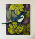Birds of Fukuoka: Magpie by Bree Stallings